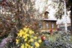 Dacha Dacha