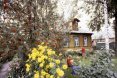 Dacha