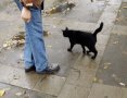 Supersticiones rusas